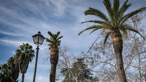 el tiempo garciaz|El Tiempo en Garciaz, Cáceres a 14 días